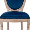 Blue Velvet French Louis Chair