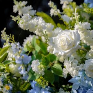 Screenshot13-3-2025102544rosemorningcomjpeg