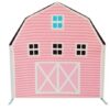 Pink Spandex Barn Backdrop