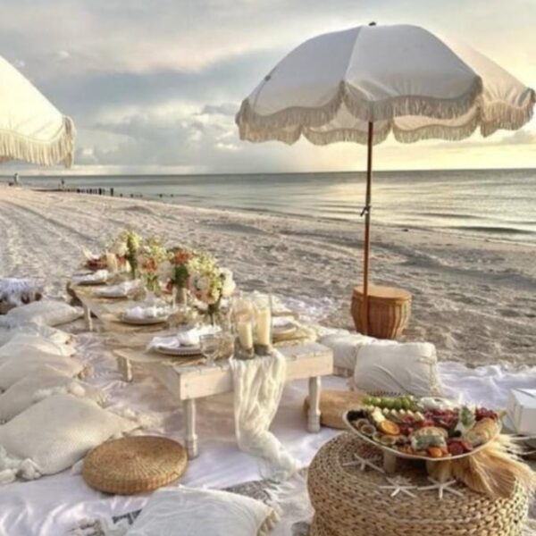 Pop-Up Picnic