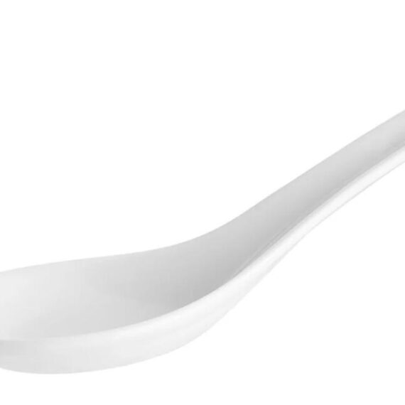 Wonton Soup Spoon
