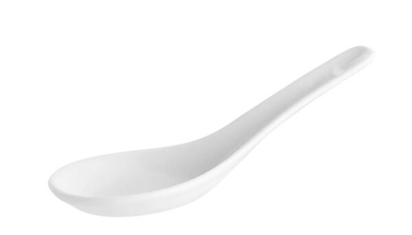 Wonton Soup Spoon